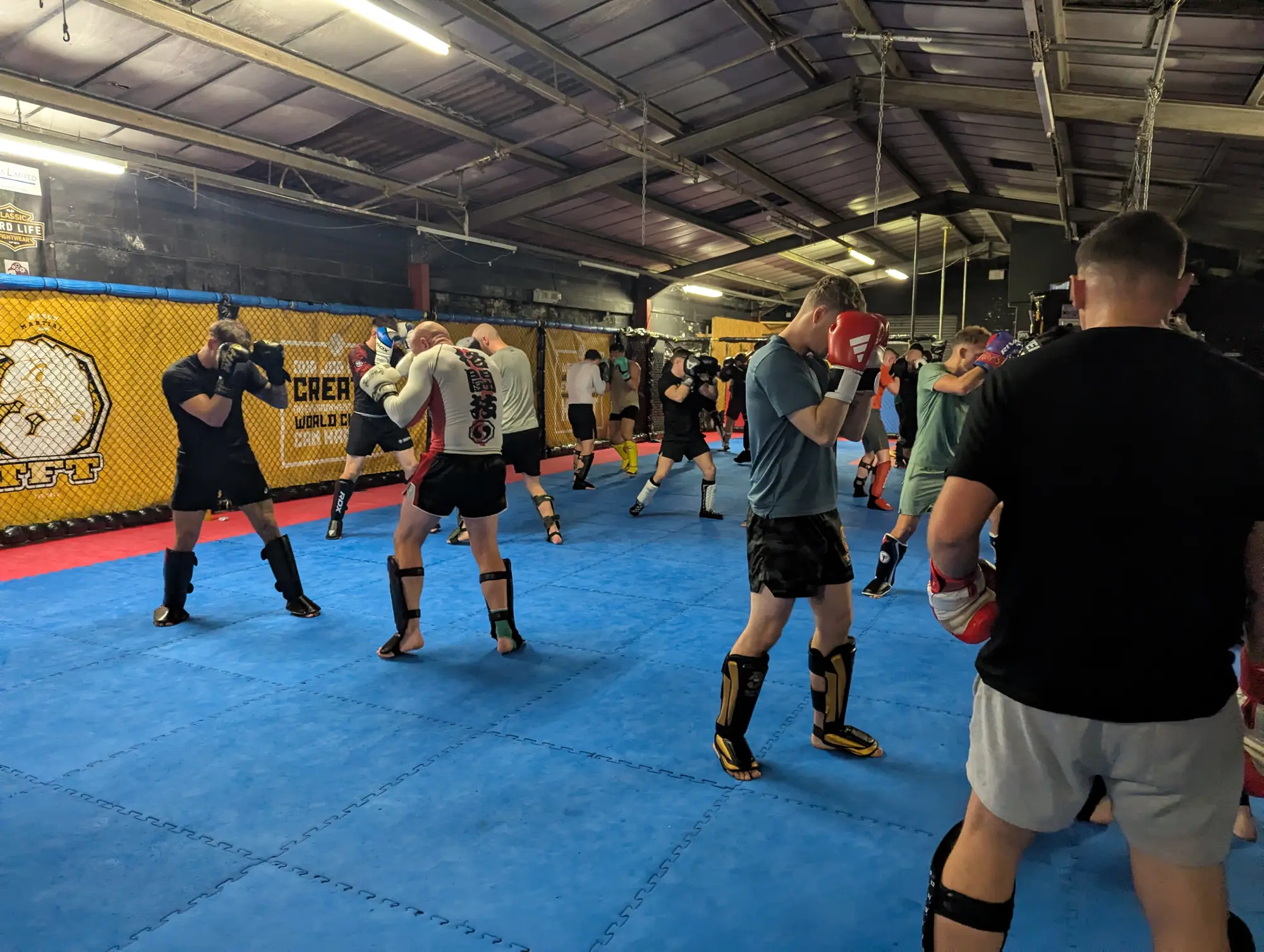 Adult members training striking at TFT MMA